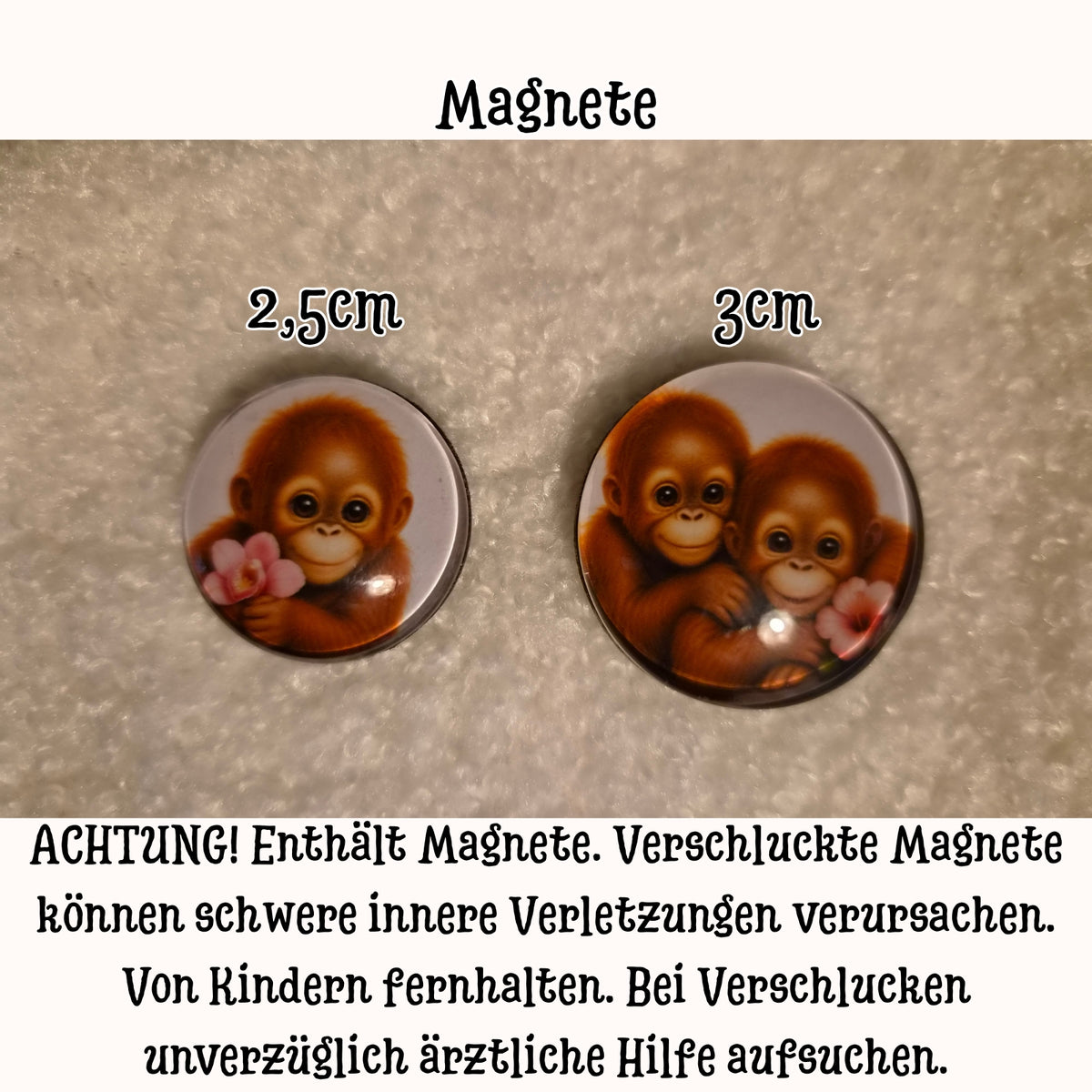 Wild & Wunderbar – Orang-Utan | Tier 1