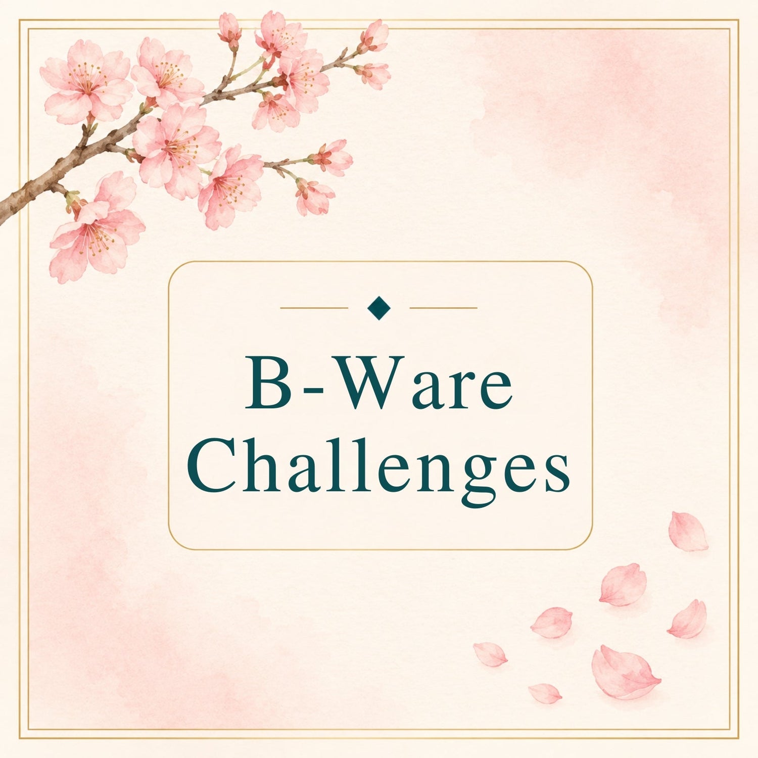 B-Ware Sparchallenges