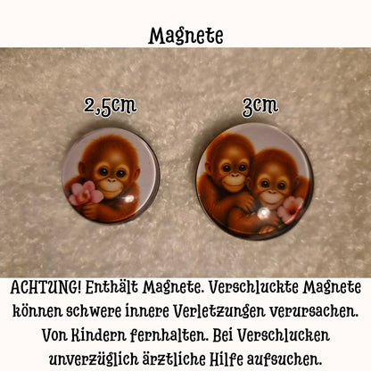 Wild & Wunderbar – Orang-Utan | Tier 1
