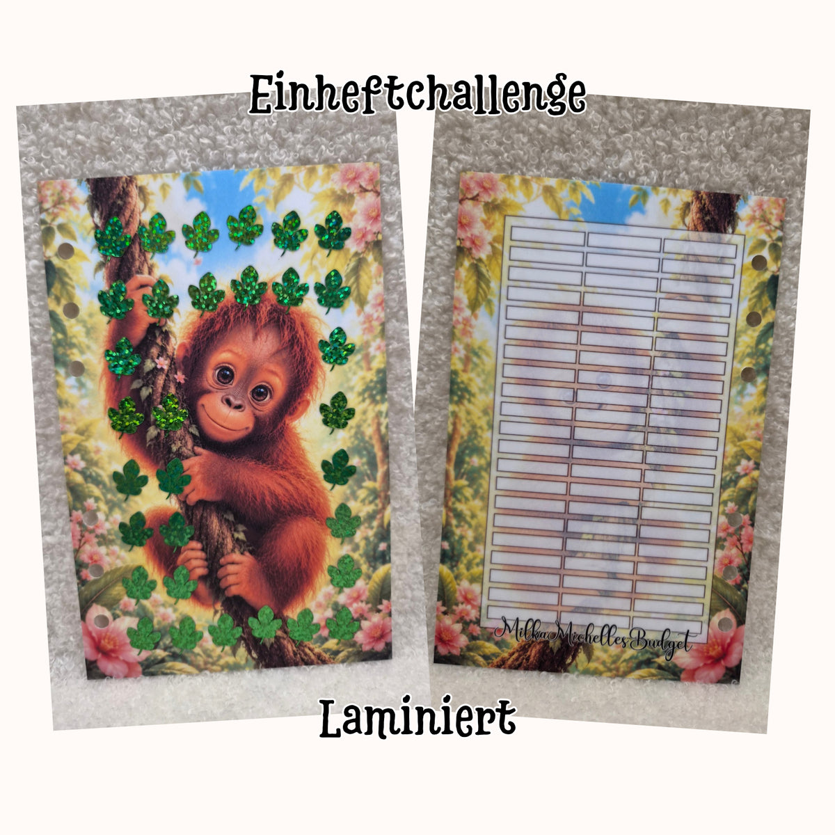 Wild & Wunderbar – Orang-Utan | Tier 1