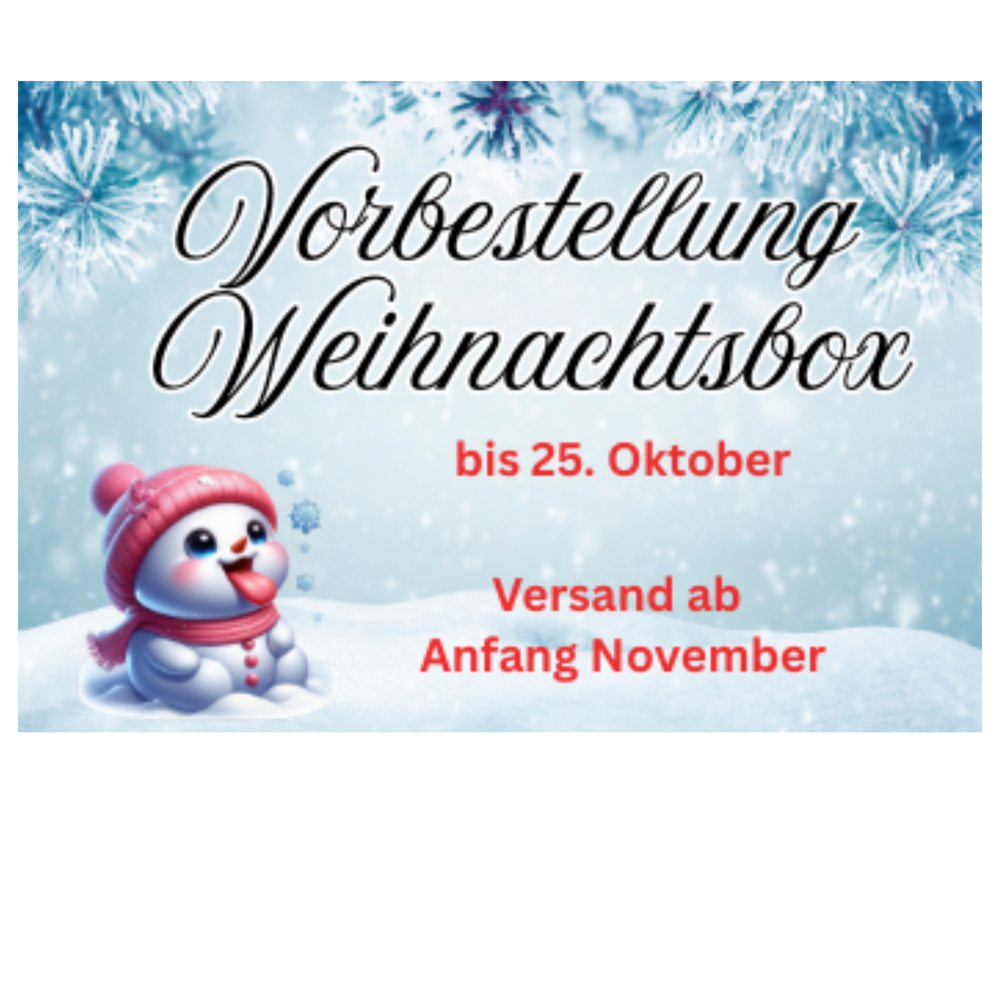 Vorbestellung Weihnachtsbox (bitte einzeln bestellen)