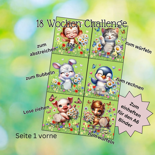 18 Wochen Challenge